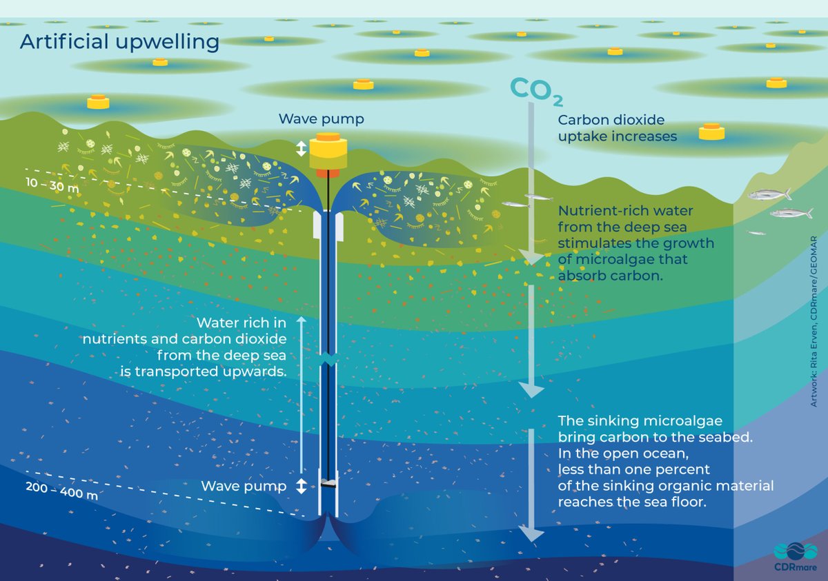 The idea to curb the ocean’s #CO2 uptake by pumping deep cold & nutrient-rich water up to the surface to increase algae growth always sounded fascinating. However, doing it successfully is challenging as our Test-ArtUp reported. More here: linkedin.com/feed/update/ur… #CDR #CO2removal