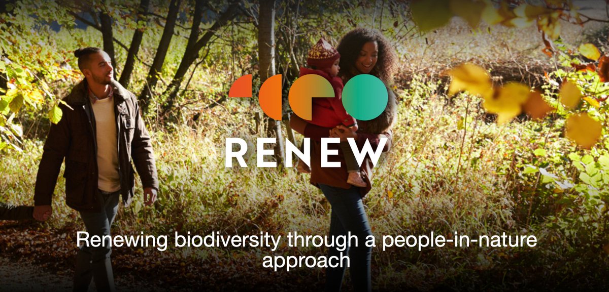 Catch up with RENEW's ExCASES, researchers from @nationaltrust & @UniofExeter. Check out ExCASES online collaborative space using Padlet - add your own ideas, contacts, suggestions, insights & thoughts. Help ExCASES renew your #biodiversity. renewbiodiversity.org.uk/rapid-excases-…