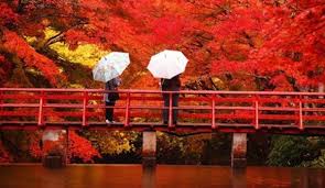 Life is a series of natural and spontaneous changes. Don’t resist them; that only creates sorrow. Let reality be reality. Let things flow naturally forward in whatever way they like.