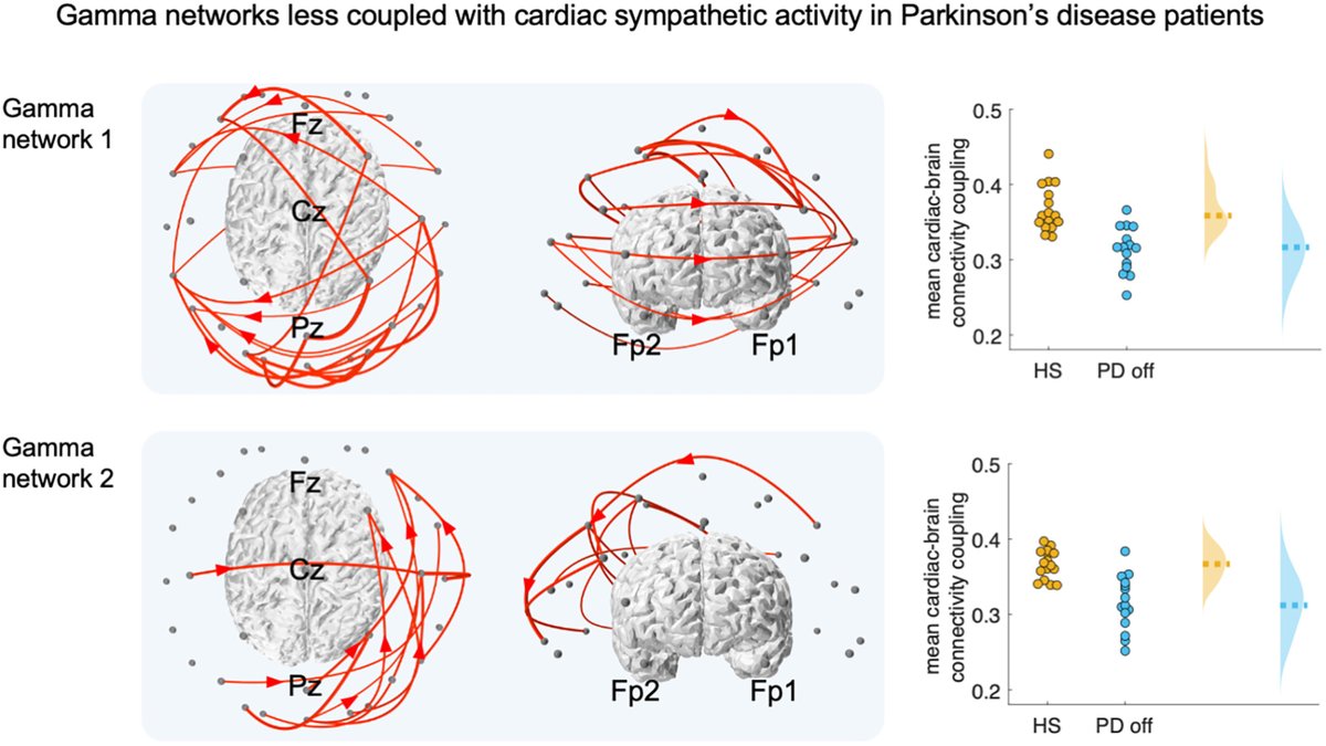 First steps @WileyNeuro towards a network understanding of brain-heart interactions led by @diegocandiar dx.doi.org/10.1002/hbm.26… + Featuring free online software #Vizaj for cool 3D brain networks doi.org/10.1371/journa… @inria_paris @InstitutCerveau @AgenceRecherche