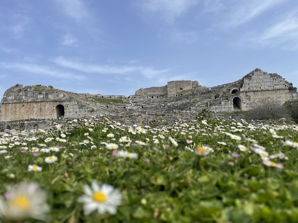 The once great theatre at Miletus now pushing up daisies <a href="/DCol_Classics/">DC Classics</a>