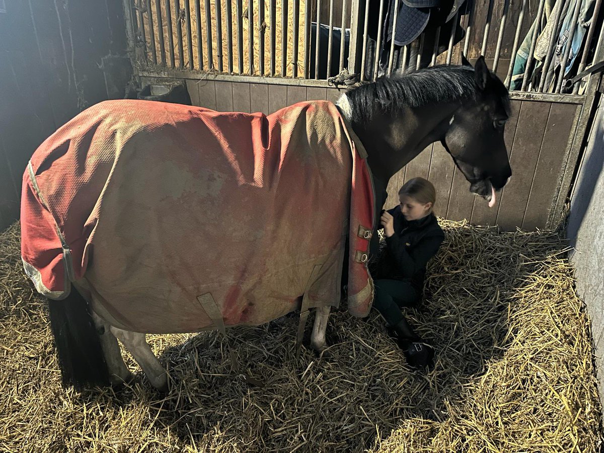 Great couple of days back home with the family after 4 months on the road.. fun night with Leo @wembleystadium watching @England 🏴󠁧󠁢󠁥󠁮󠁧󠁿 and Lottie even had me on mucking out duty!! 🐎 Back on the road today with the family for Easter break, and then the @TheMasters @RBC_Heritage ✈️…