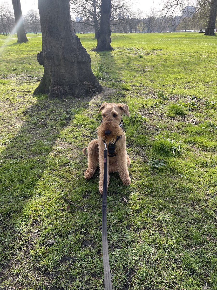 I’m taking time to enjoy a sunny day in @theroyalparks