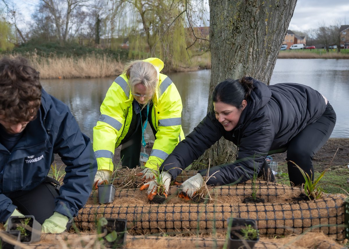 💦 Fancy spending some time by the water this week? You can help to construct and add plants to floating wetlands which will be installed in Southmere Lake this Thursday 28 March from 2pm - 4pm. No experience necessary! Find out more 👉 bit.ly/3vmOg3r @PeabodyLDN