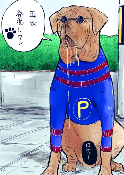 ペロ再び〜🐶 https://t.co/fBMx7Q9kKR 