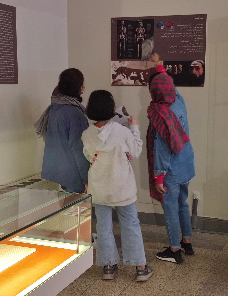 During the Iranian New Year and Nowruz holidays, the National Museum of Iran experiences a significant increase in visitors. One of the most crowded galleries is the Paleolithic gallery, which attracts particular interest in the #Neanderthal child's tooth from #Wezmeh Cave.