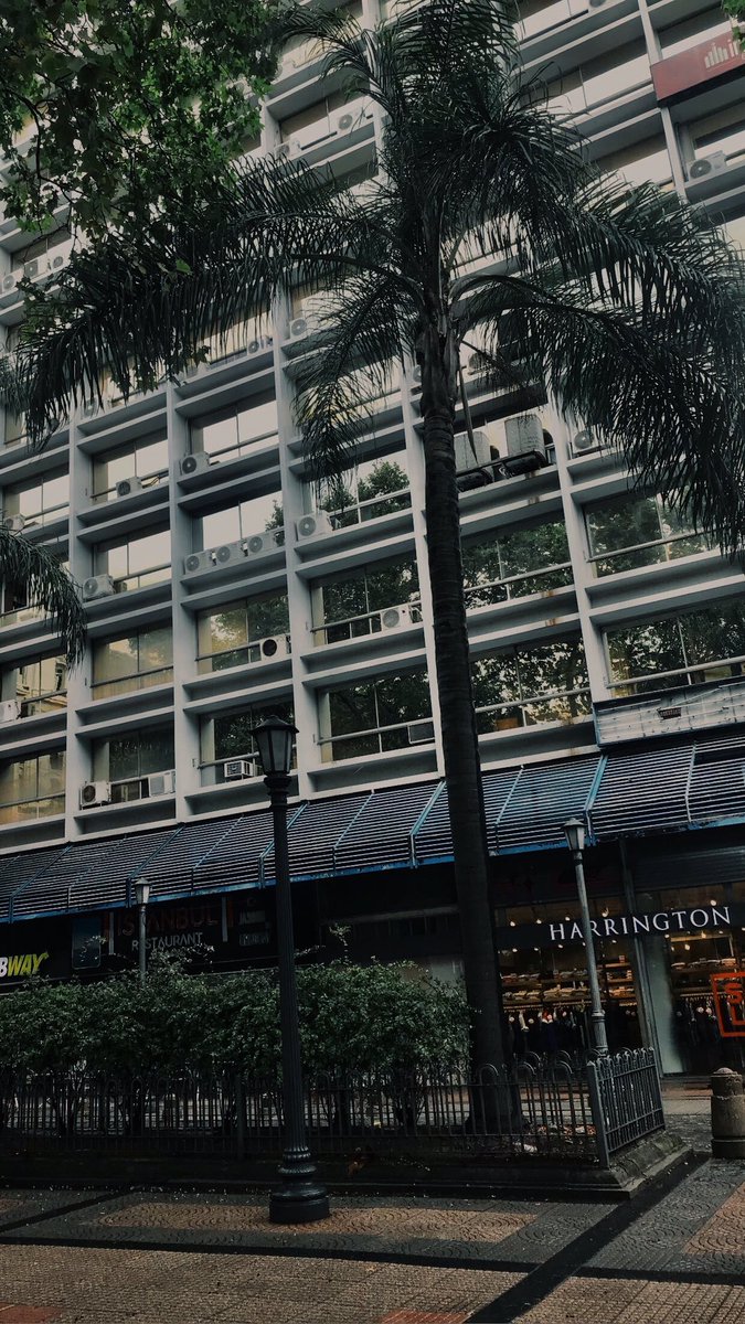 ᴢ ᴀ ɪ ʀ ᴀ (@sosa84864) on Twitter photo 