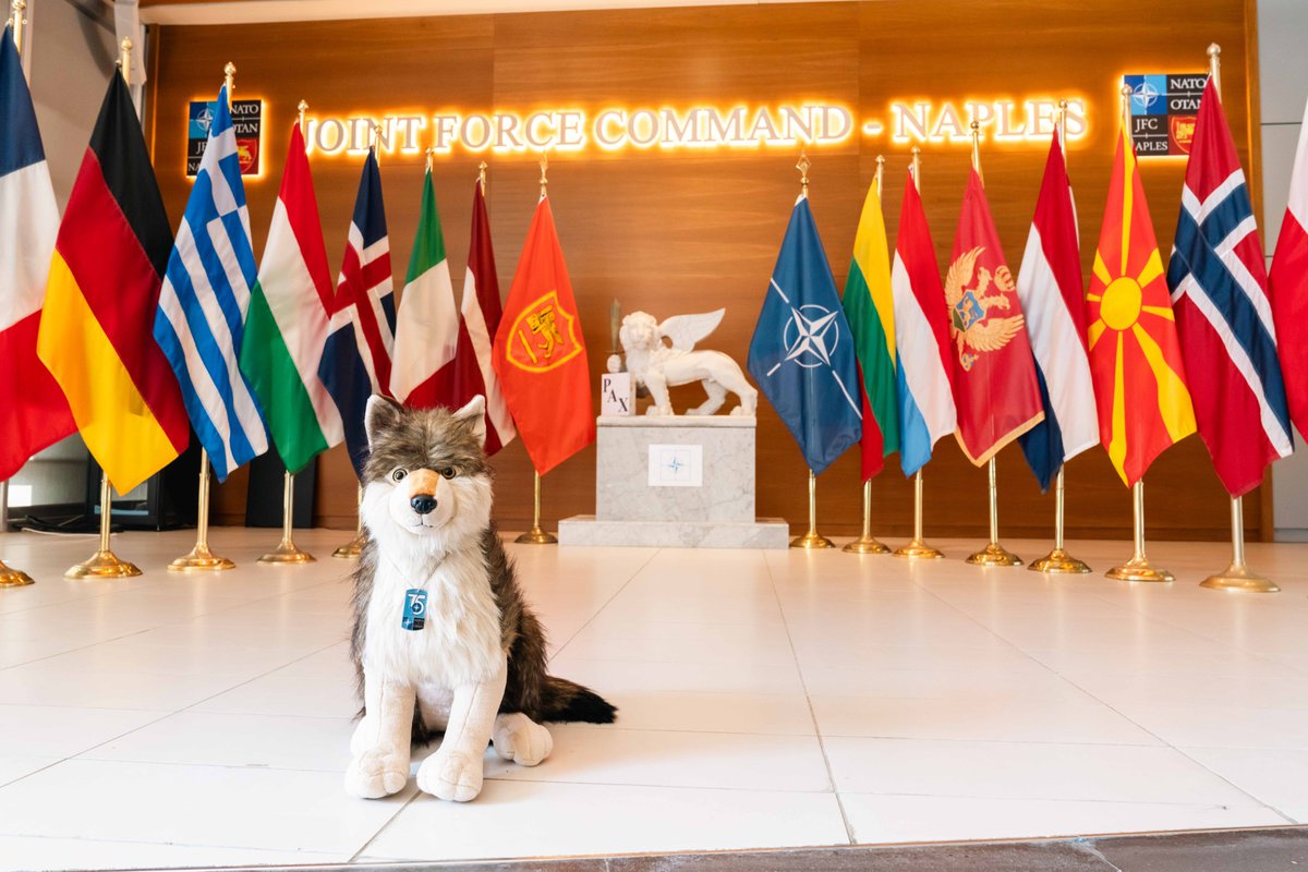 Exciting news🌟a new member of the team has arrived at JFC Naples: Meet Sentinel. Sentinel was selected as the NATO ACO 75th mascot. Wolves believe there is strength in unity just like we do! Follow Sentinel on his adventures @JFC_Naples #Sentinelsjourney #1NATO75Years