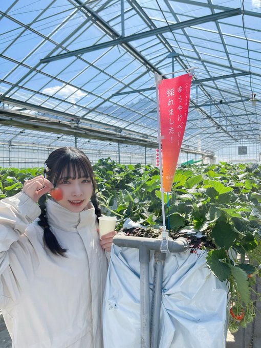 コスプレイヤー橋本麗愛のTwitter画像14