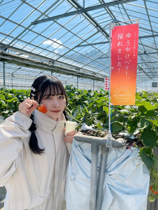 コスプレイヤー橋本麗愛のTwitter画像15