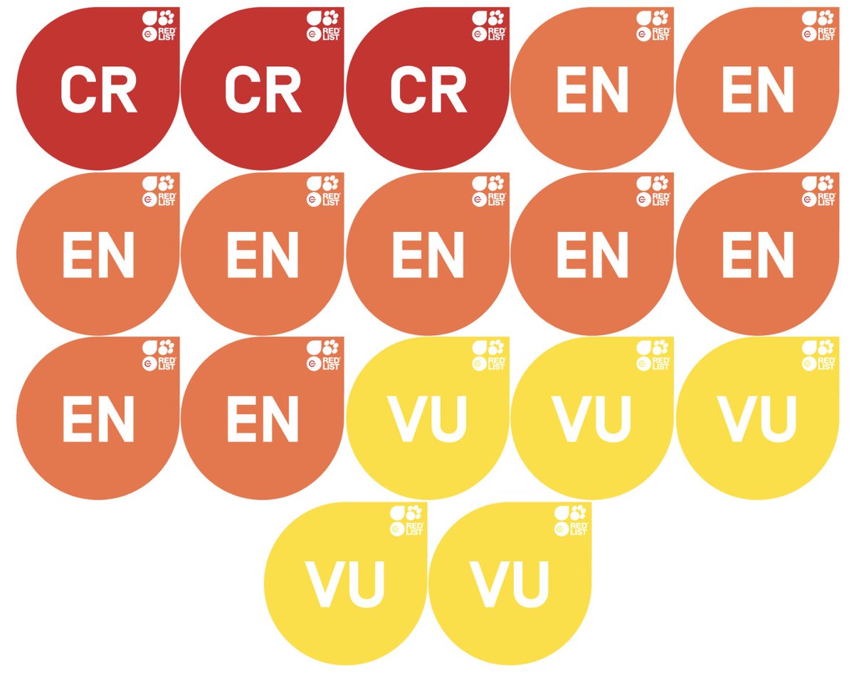 🚨NEW PAPER🚨

Research &amp; management efforts are failing dolphins, porpoises, &amp; other toothed whales!

🐬22% of species threatened
🎣Fisheries &amp; habitat degradation are drivers
👮Management having little impact
📖Research re-prioritisation required

doi.org/10.1038/s41598…