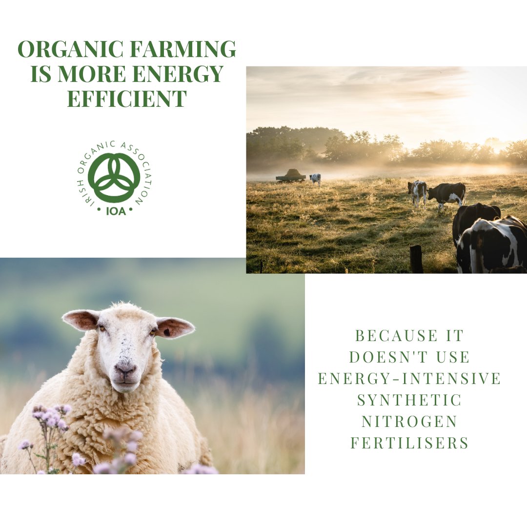 Did you know?

#organicireland #demandorganic