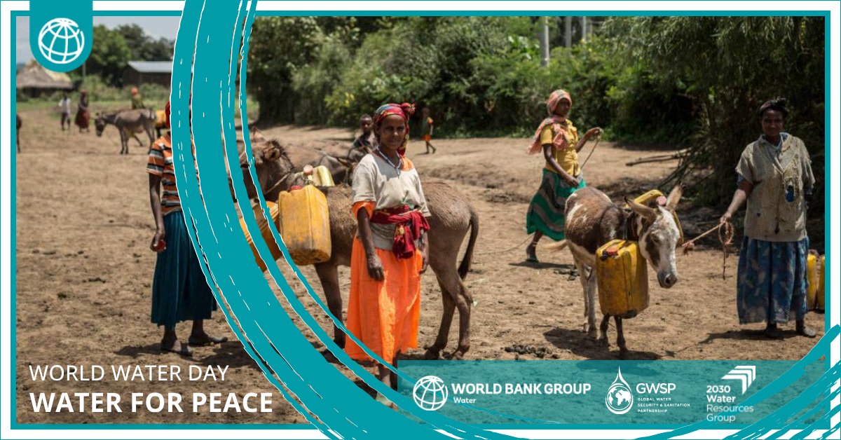 Regional collaboration through assessments of key transboundary aquifers are crucial in understanding underground water storage, aquifer dynamics, recharge areas, and sustainable extraction levels that could lead toward #WaterForPeace.💧🕊️ wrld.bg/jhfr50R1IC7 #WorldWaterDay