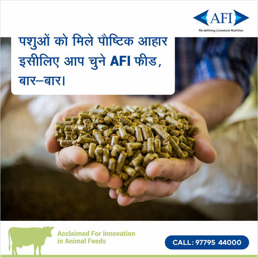AFI offers a wide range of nutritional solutions and has a deep understanding of nutrient values that are healthier for your livestock. #Dairy #Feed #AnimalFeed #AnimalHealth #MilkProduction #AnimalNutrition #Farming #IndianDairyFarmer #DairyIndustry #DairyFarmer #DairyFarming