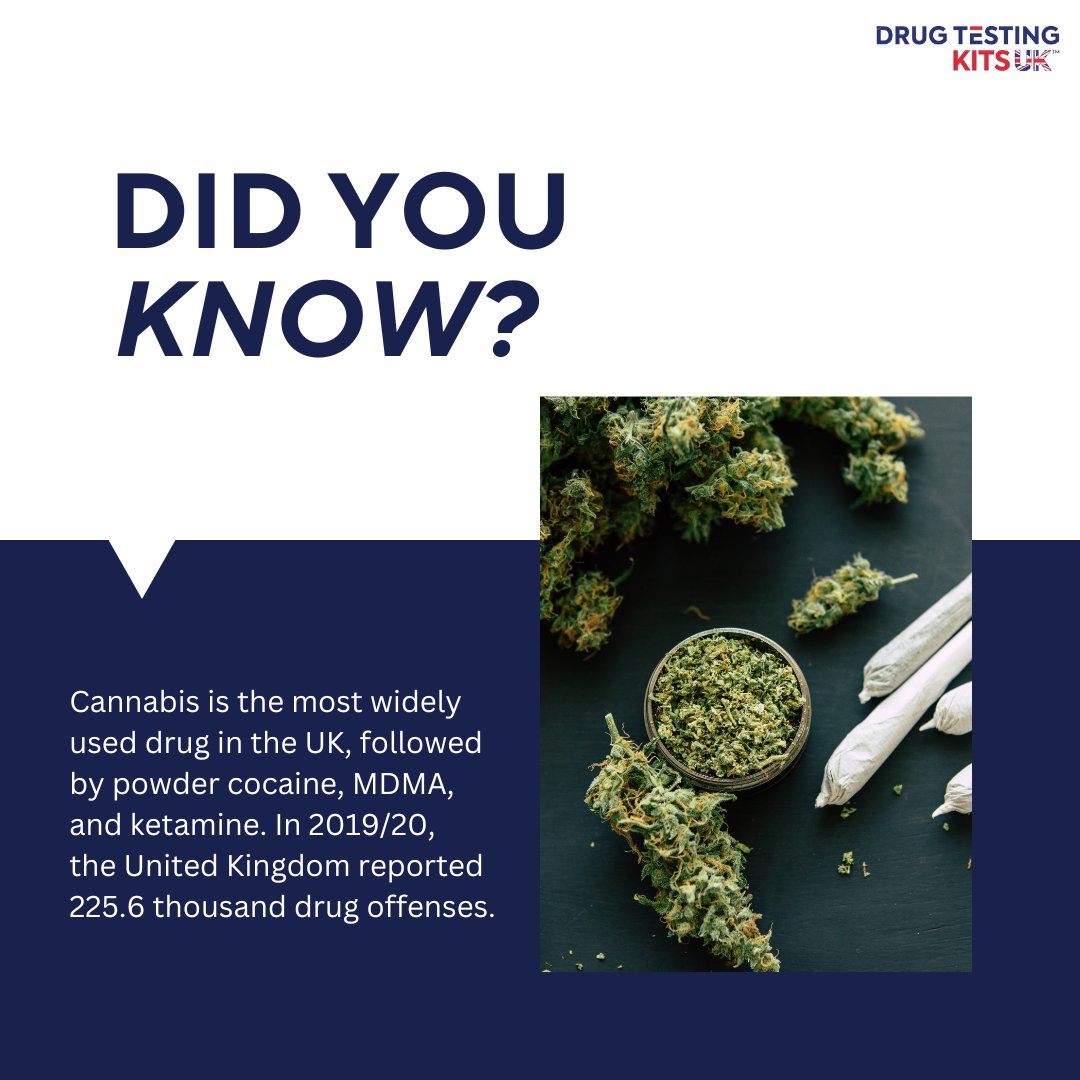 Drug misuse stands as a significant contributor to fatalities among individuals aged 16 to 40 in the country.

#drugabuse #drugmisuse #cannabis #marijuana #cocaine #drugoffense #uksafety #drugsafety #drugtesting #uk