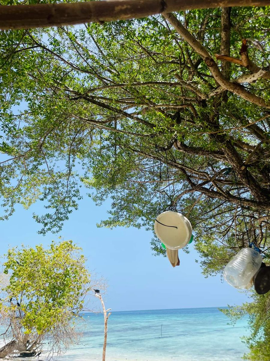 MomentNature's tweet photo. #NaturalBeauty
#destination
#beautiful
#trees
#beachvibes 
#Islandlife
#NaturePhotography 
#nature 
#Thakandhoo 
#Maldives 
📷Asima https://t.co/YsbOu8KdZC
