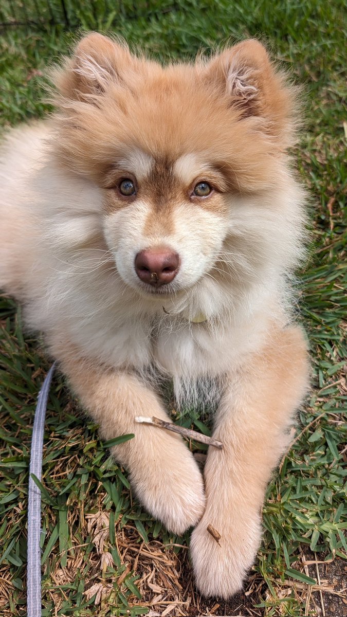 Jenna Vincent tweet media