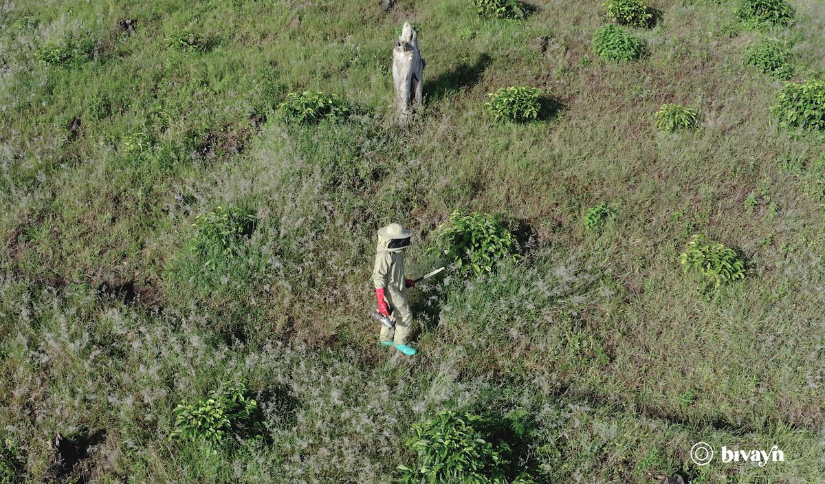 Taking a stroll through the sweet life at Samka farm in kanungu District. This documentary captures the buzz of beekeeping and the beauty of nature's hard workers. #documentaryphotography #documetaryfilm #film