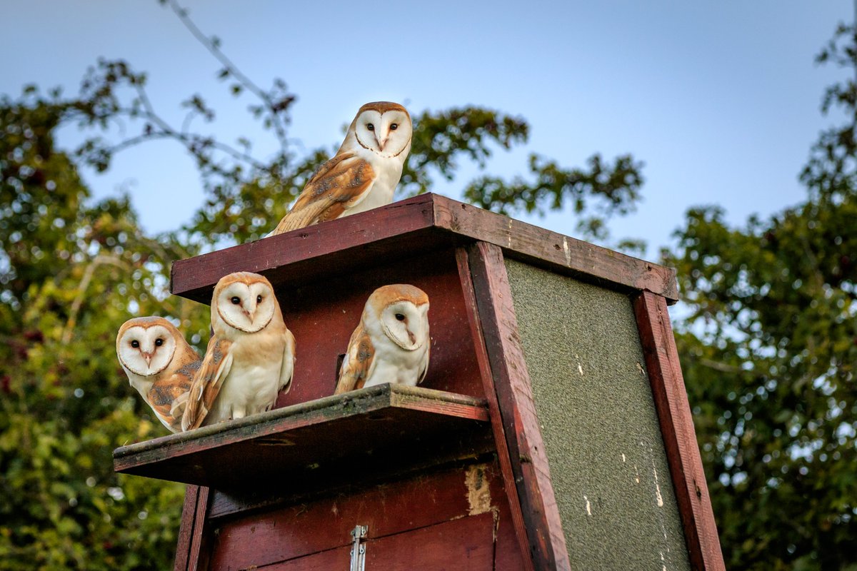 The Bristol Port Company is looking for a Deputy Environment and Sustainability Manager to join our busy Port. Visit bristolport.co.uk/careers/curren… to find out more! #careers #environment #netzero #sustainability #port #bristolport #bristolsglobalgateway #import #export