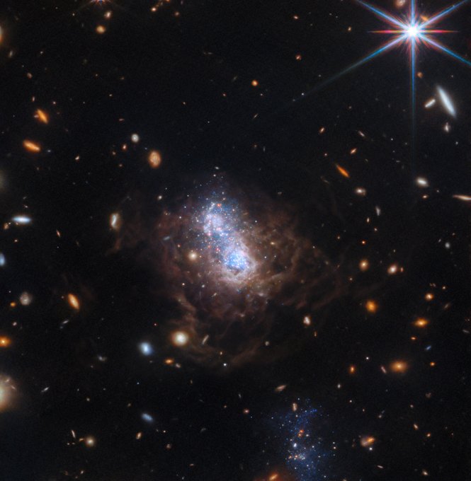 Many small galaxies are scattered on a black background: mainly, white, oval-shaped and red, spiral galaxies. The image is dominated by a dwarf irregular galaxy, which hosts a bright region of white and blue stars at its core that appear as two distinct lobes. This region is surrounded by brown dusty filaments. At the bottom centre of the image, a companion galaxy is visible that appears as a collection of blue stars.