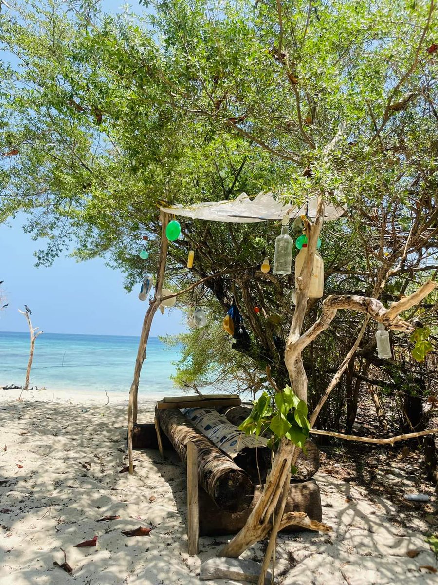 MomentNature's tweet photo. #NaturalBeauty
#destination
#beautiful
#trees
#beachvibes 
#Islandlife
#NaturePhotography 
#nature 
#Thakandhoo 
#Maldives 
📷Asima https://t.co/ezXD4Y6AP2