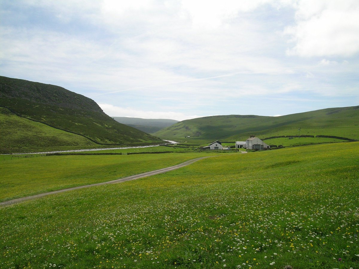 Meadow and Pasture Walk &amp; Afternoon Tea. Sunday 23rd June 1:30-5pm.
The walk will lead to Langdon Beck Hotel
for a delicious afternoon tea
Book online here: tinyurl.com/9ee52jc3