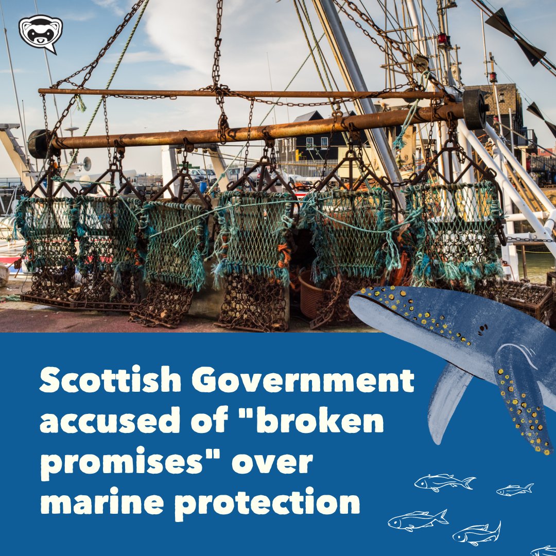 🔴NEW: The Scottish Government has been accused of “very serious political delays” over its promises to better protect the marine environment. Read more here: bit.ly/3Vx3jly?utm_so…