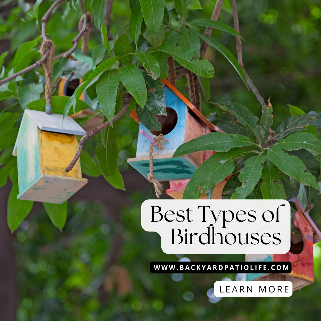 Backyard Patio Life tweet media