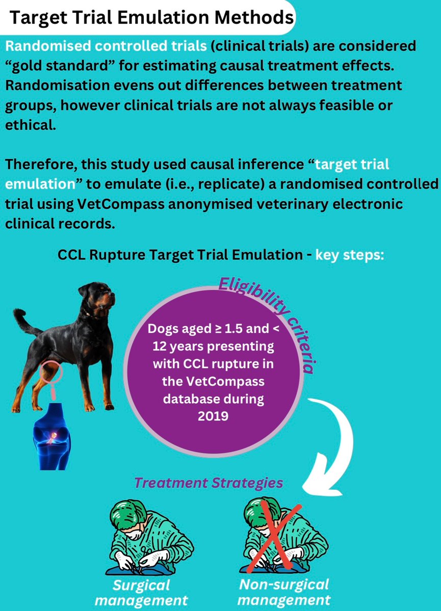VetCompass tweet media
