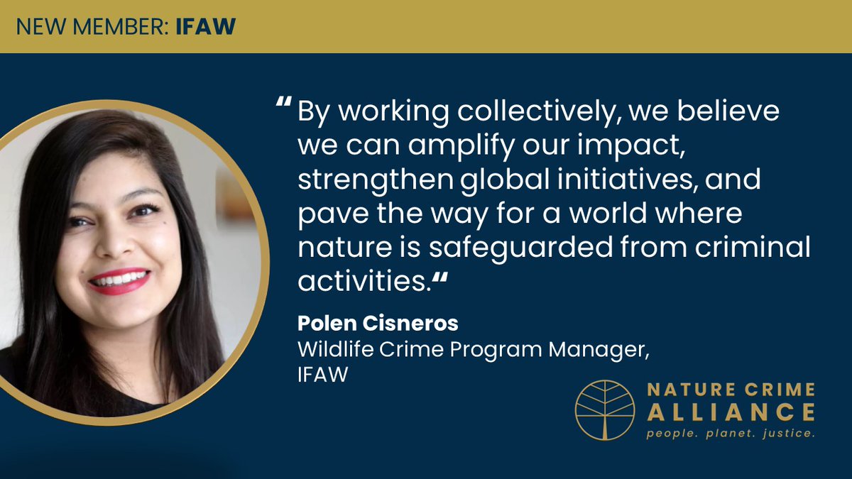 Nature Crime Alliance tweet media