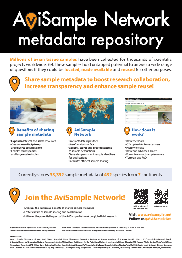 AviSample Network tweet media