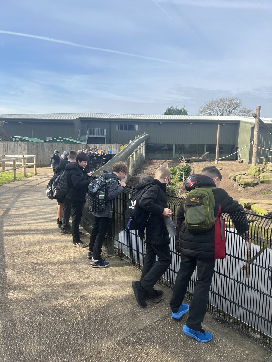 We’ve arrived! We are exploring Yorkshire Wildlife Park and bringing our learning to life 🐝