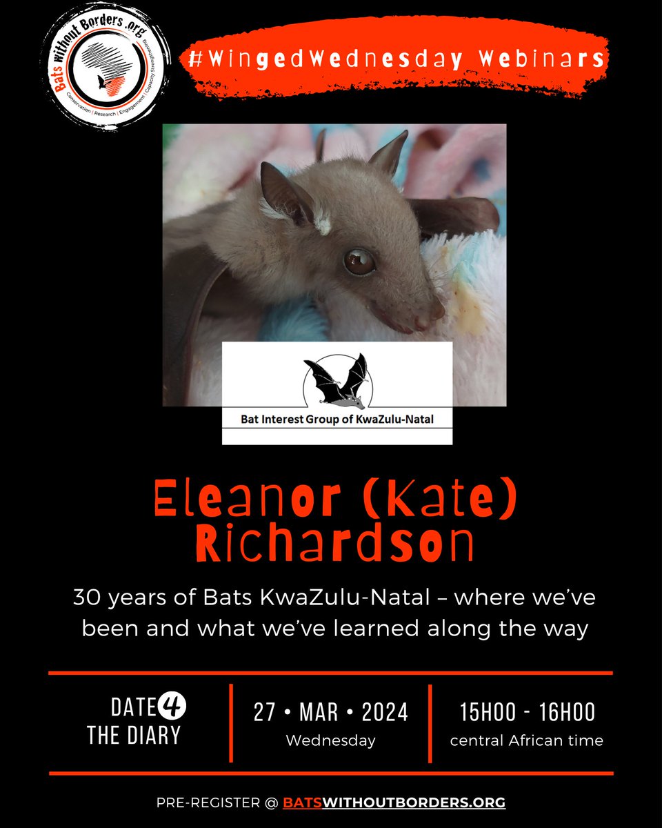 🌟 TOMORROW! 🌟 Join us for our first #WingedWednesday webinar of 2024 Eleanor (Kate) Richardson will share '30 years of Bats KwaZulu-Natal – where we’ve been & what we’ve learned along the way' Sign up lght.ly/l2mo15k 3pm southern African time 1pm BST | 1pm GMT | 9am EDT