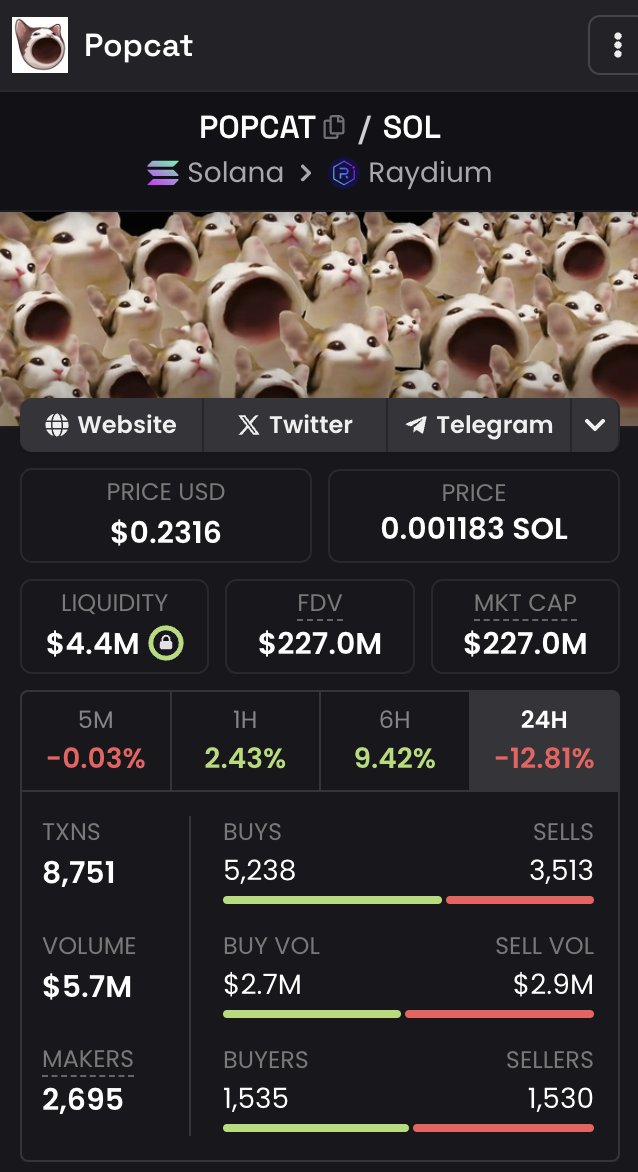 $mew hitting the same market cap as $popcat at the ripe old age of 5 hrs is... cabalish