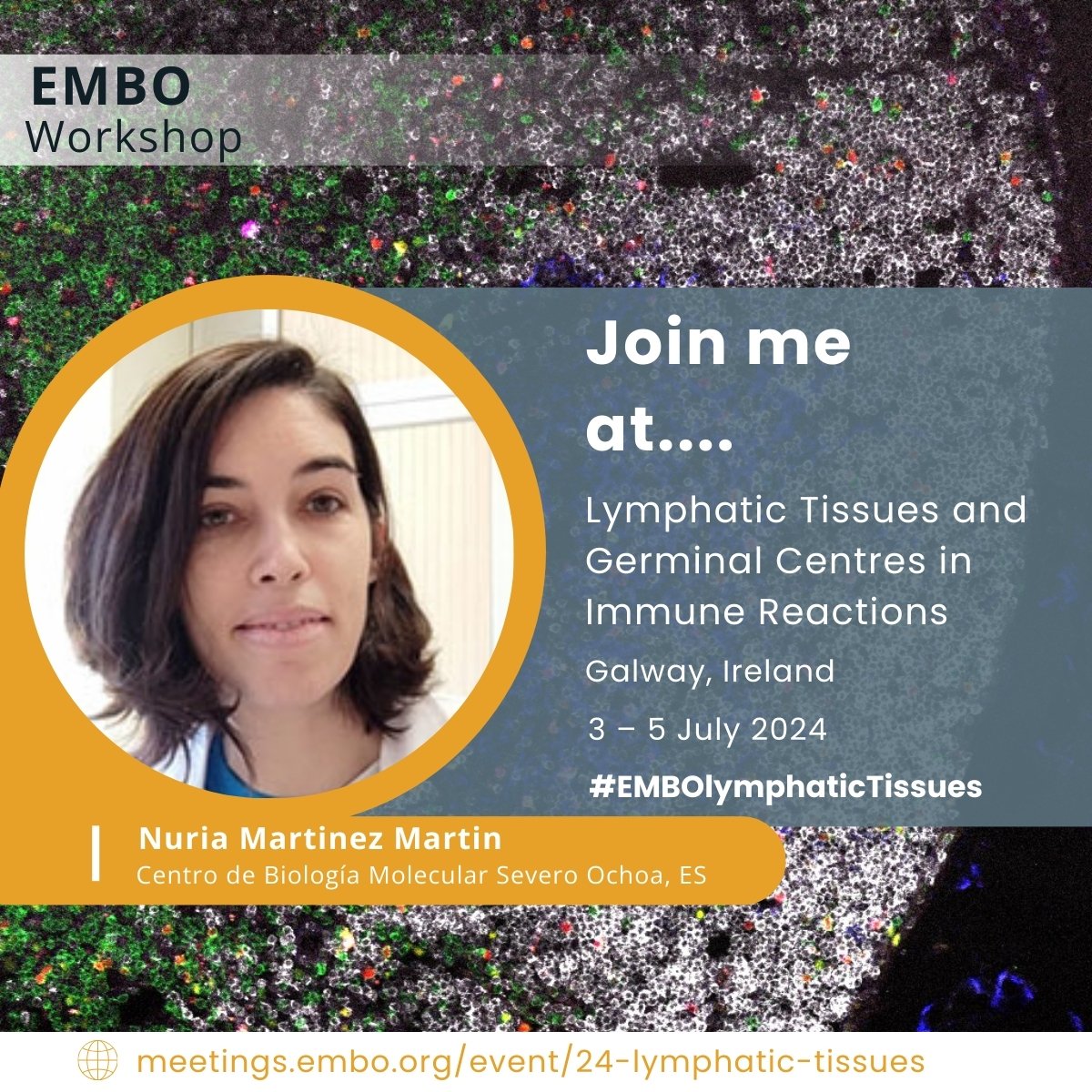 MartinezMartinLAB (@nmartinezlab) on Twitter photo 