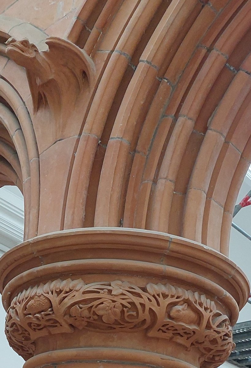 #TerracottaTuesday There be dragons! And a little hedgehog and rabbit hiding in the undergrowth. The Holden Gallery, Grosvenor Building, MMU is undergoing refurbishment along with a bit on restoration and conservation.