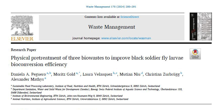 What pretreatment methods on biowastes improve the bioconversion efficiency of Black Soldier Fly Larvae (#BSFL)? Topic of the research article by #Eawag #Sandec’s Daniela Peguero et al., which can be downloaded for free at: bit.ly/4aoalOt @EawagResearch #blacksoldierfly