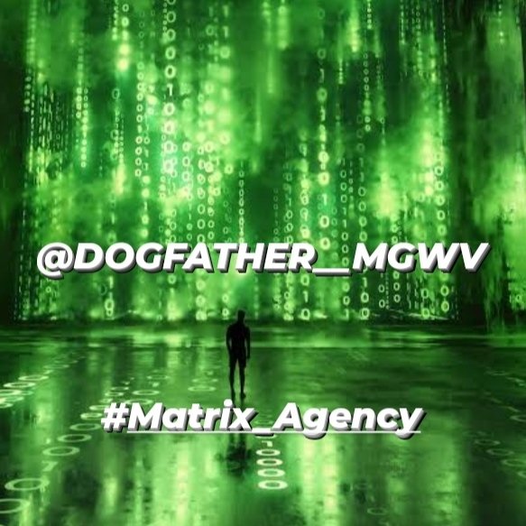 DOGFATHER__MGWV 💯%IFB tweet media