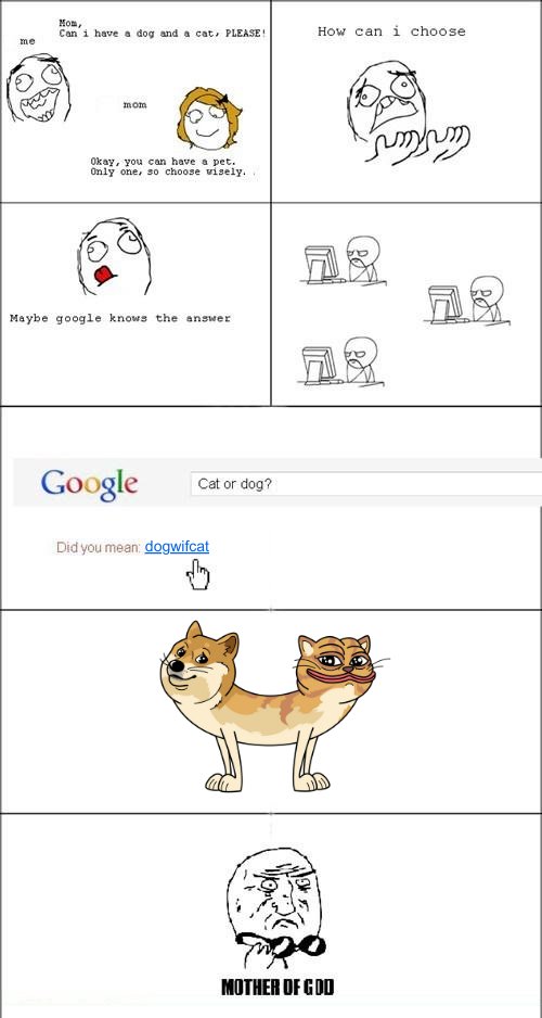 DogWifCat tweet media