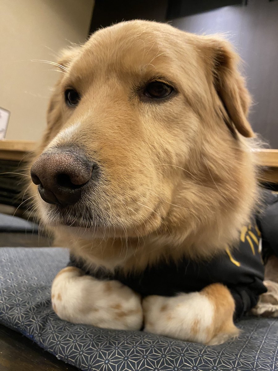 大雨の中今日も元気に出勤🐾
ラスト1週間頑張るよ🐾