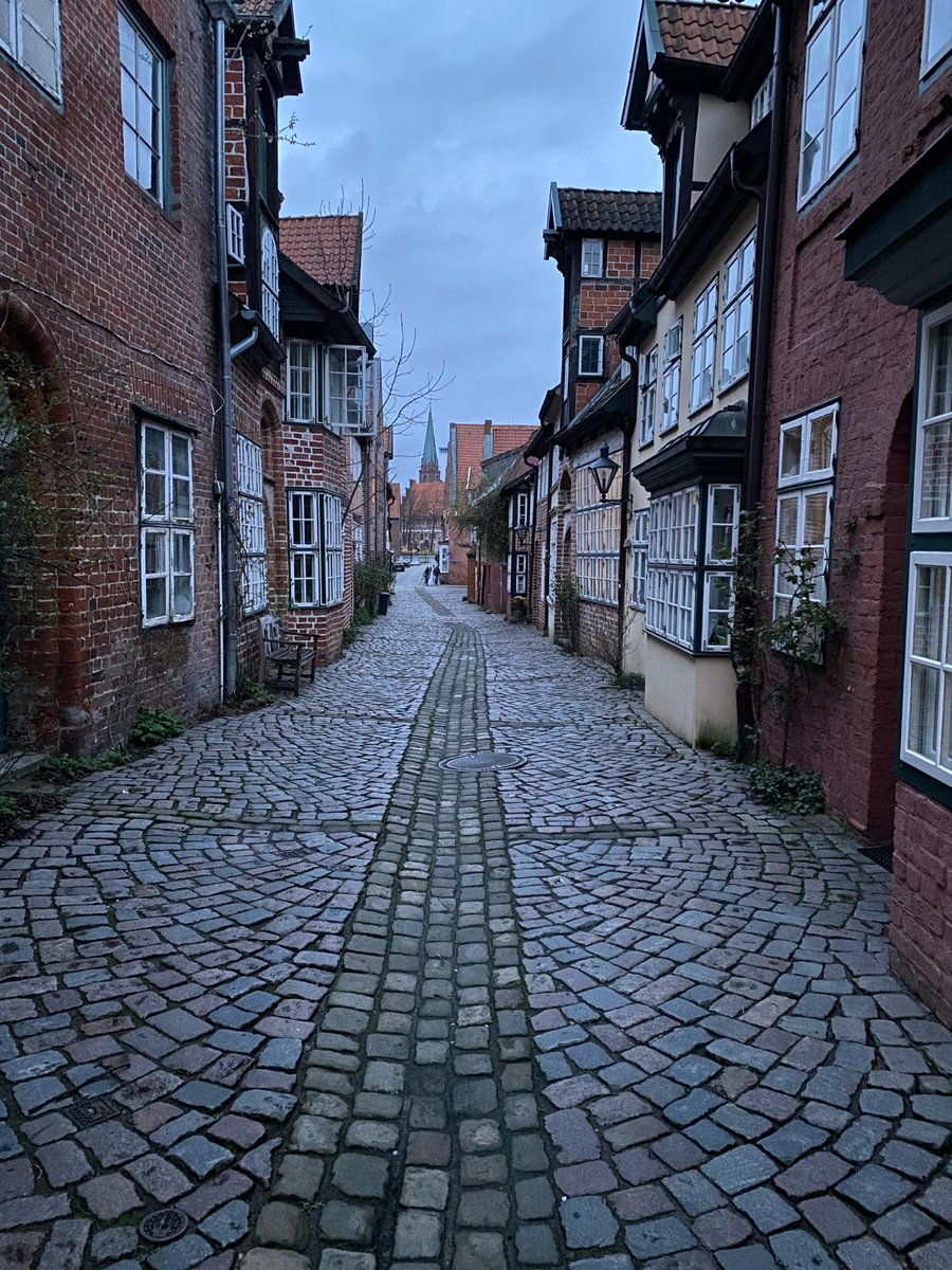 We are two days into the @ECPR #ecprjs24 workshop on The Early Alarms of Democratic #Backsliding ⏰ Here is a quick walk down of what we have learned so far in beautiful Lüneburg.