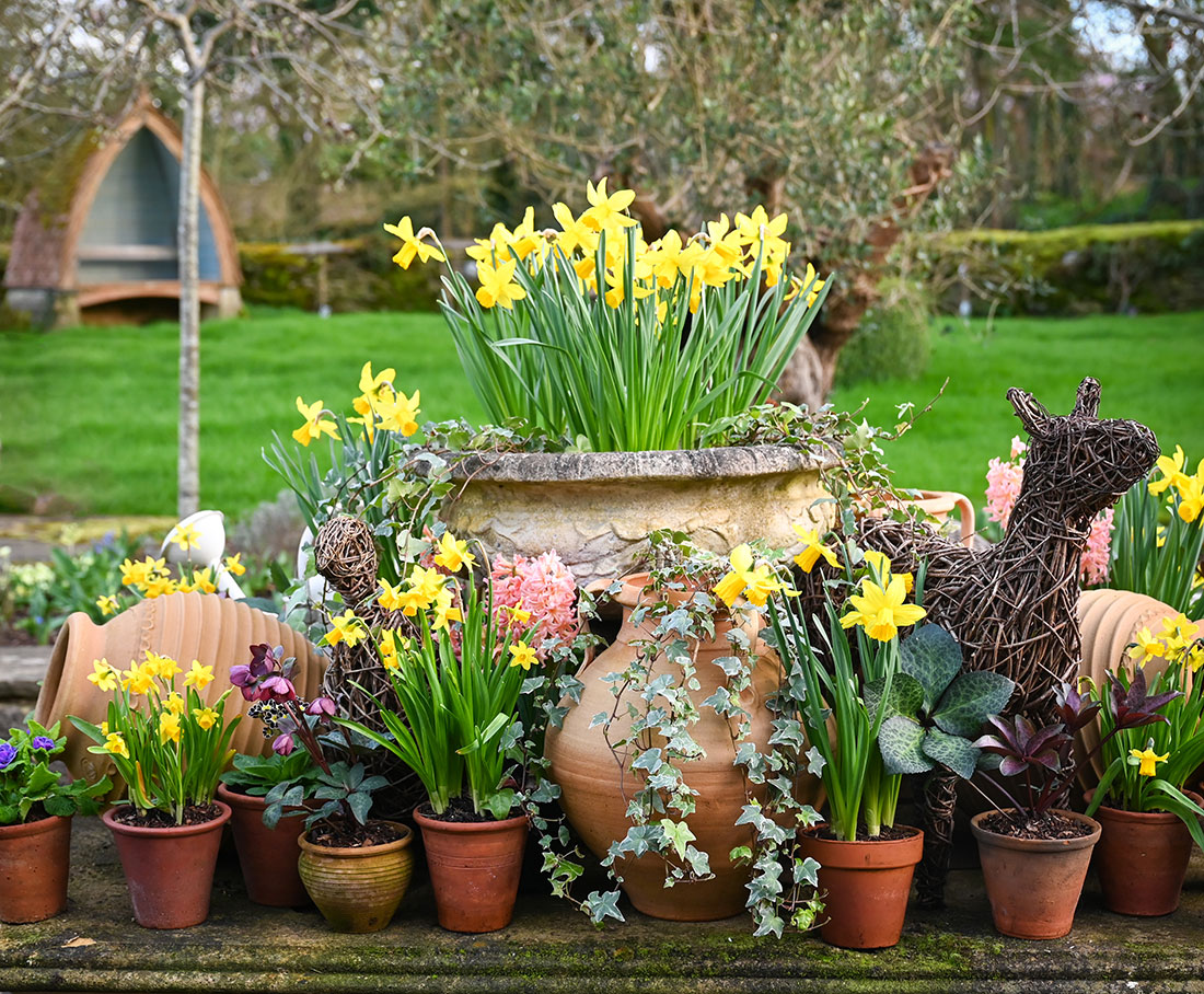 Highgrove Gardens would like to wish all of our wonderful followers a very Happy Easter. 🐰🐣🥚