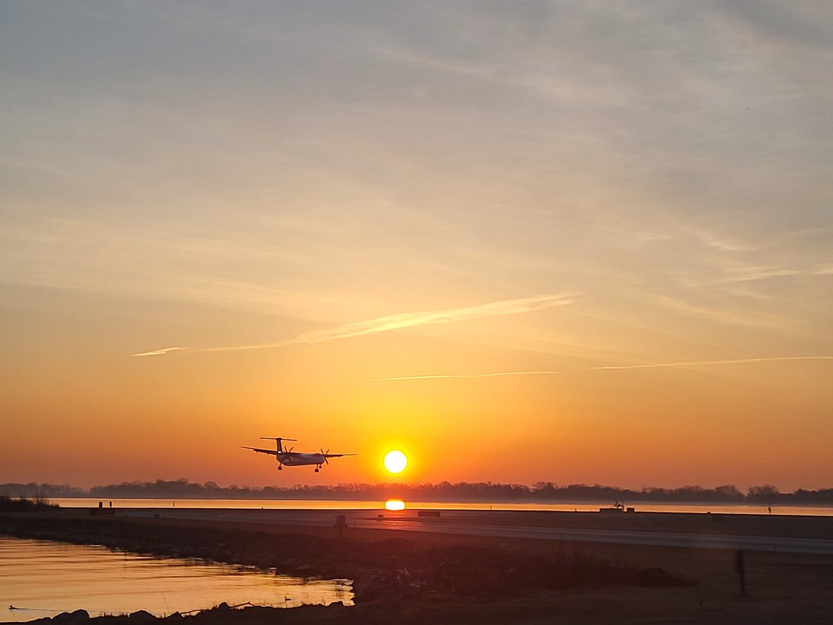 Billy Bishop Toronto City Airport tweet media