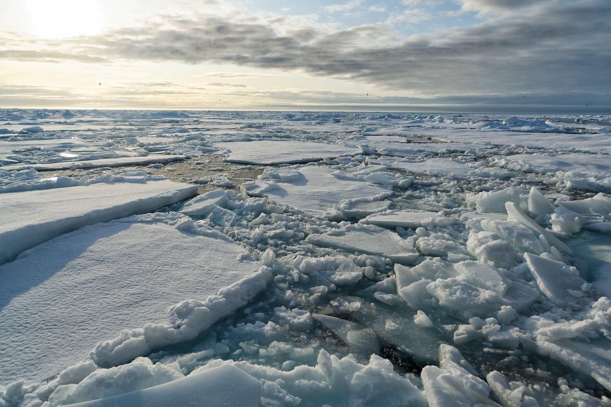 NEW – Antarctic sea ice ‘behaving strangely’ as Arctic reaches ‘below-average’ winter peak | @AyeshaTandon w/comment from @MarkSerreze @ZLabe Read here: buff.ly/3TRkahR