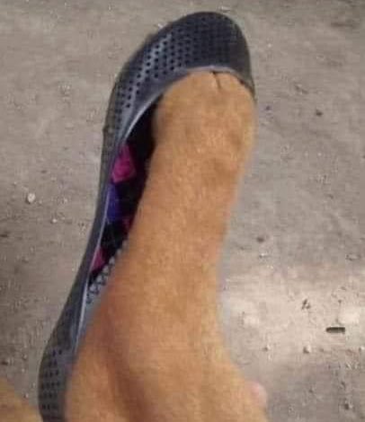 Hoy descubrí que mi perrito calza del 3