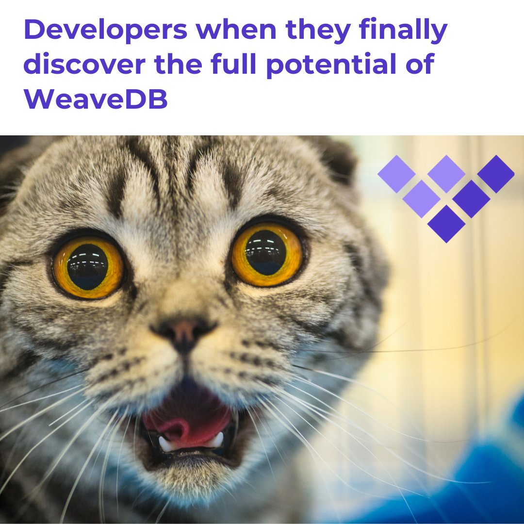 Me realizing all the headaches I could've avoided with weaveDB this whole time. WeaveDB making data secure #WeaveDBmeme #DecentralizedDreams #ShouldHaveKnownSooner