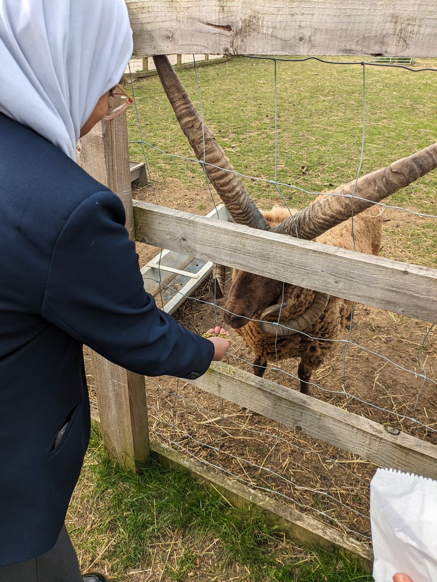 Today, our Year 7 students enjoyed an enriching visit to @StepneyCityFarm They delved into the farm's history, interacted with the animals, and even had the chance to feed and pet them. A fantastic hands-on learning experience! #StepneyCityFarm #HandsOnLearning