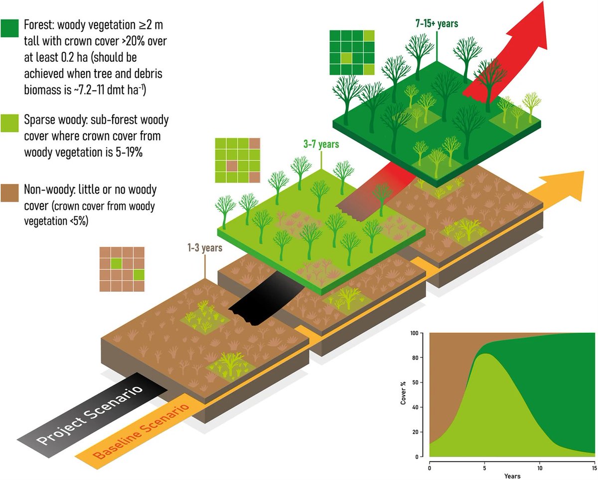 Forest regeneration carbon offset projects in Australia show only small increases in woody vegetation cover relative to credited regeneration, changes are comparable to surrounding area.

Check this paper in 👉
nature.com/articles/s4324…
