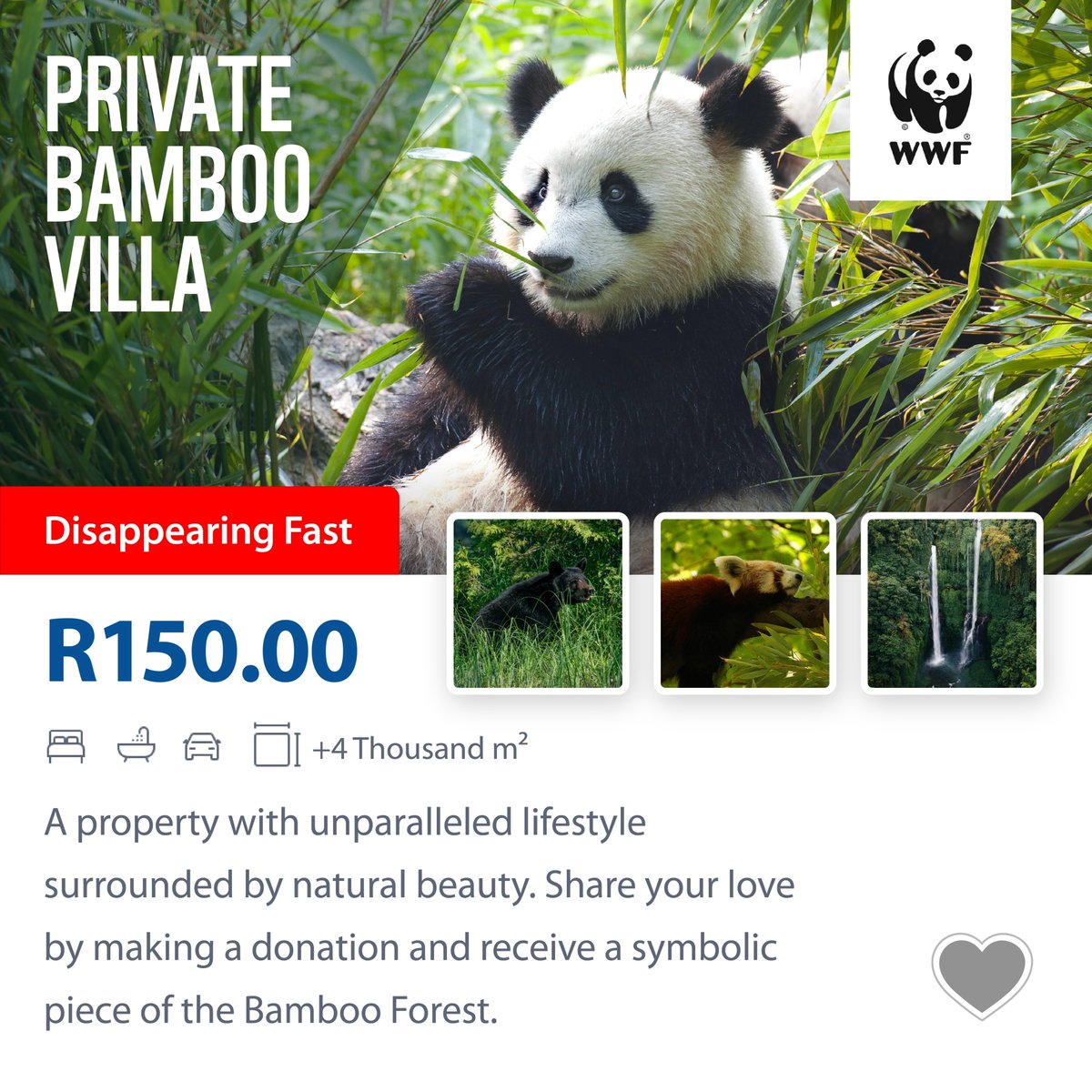 WWFSouthAfrica's tweet photo. Home is where the heart is & for pandas, their home is under threat. Donate today & have a lasting impact. Every gift gets a limited-edition certificate recognising your commitment to conservation. πΌπ πhttps://t.co/wmtKCvgzAr #SaveTheirHome #HabitatHeroes https://t.co/wPS3lC6tJa