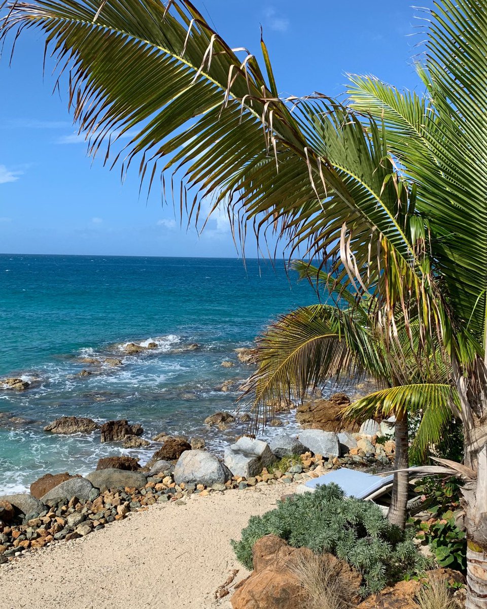 Lush flora, radiant sunshine and peacock blue waters form the day-to-day backdrop of a getaway at The Branson Beach Estate, Moskito Island. 🐚 #VirginLimitedEdition #ParadiseFound